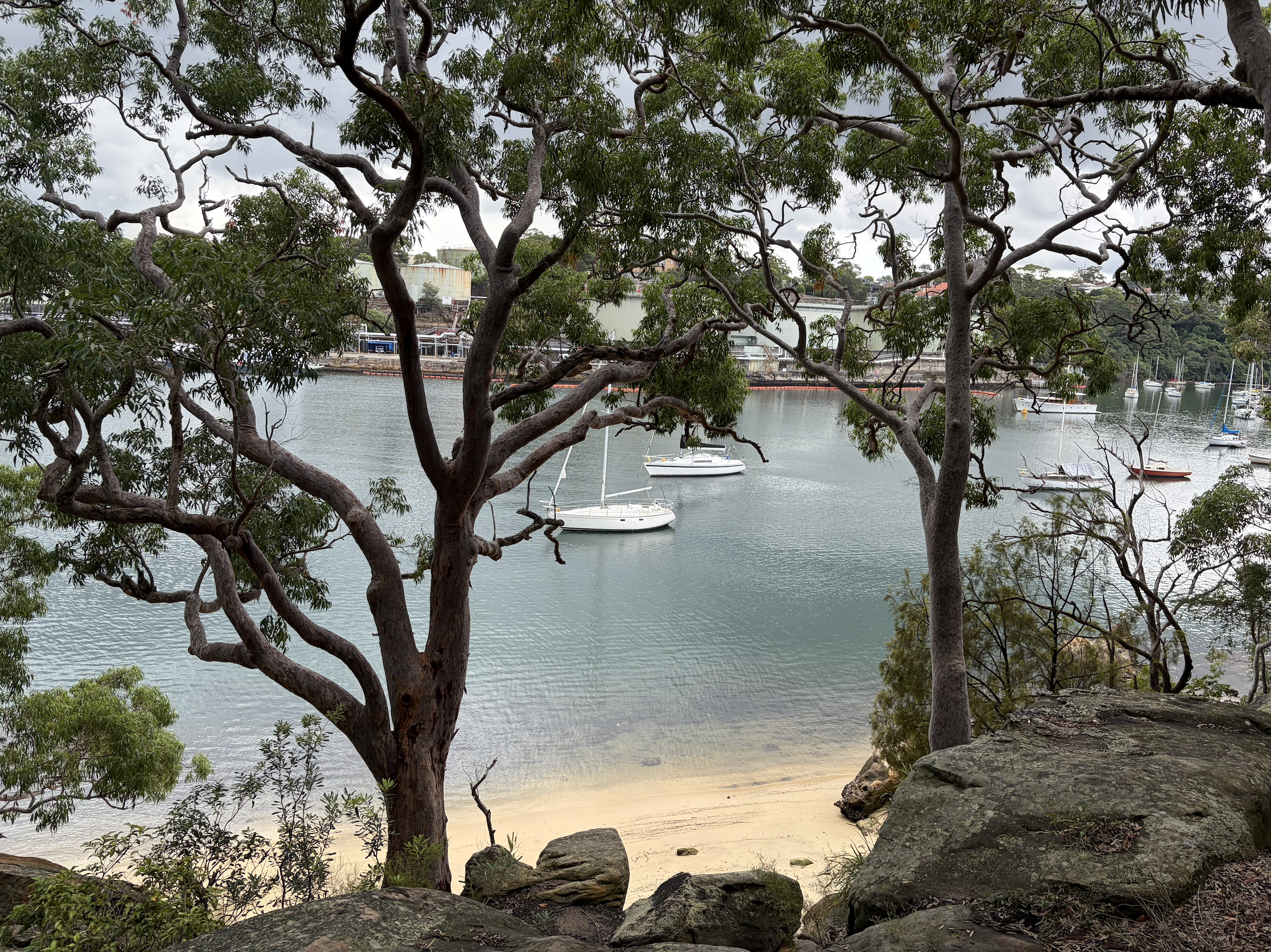 Berry Island